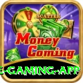 Q5Bet Ultimate Gaming App