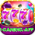 TGSlot VIP Gaming App